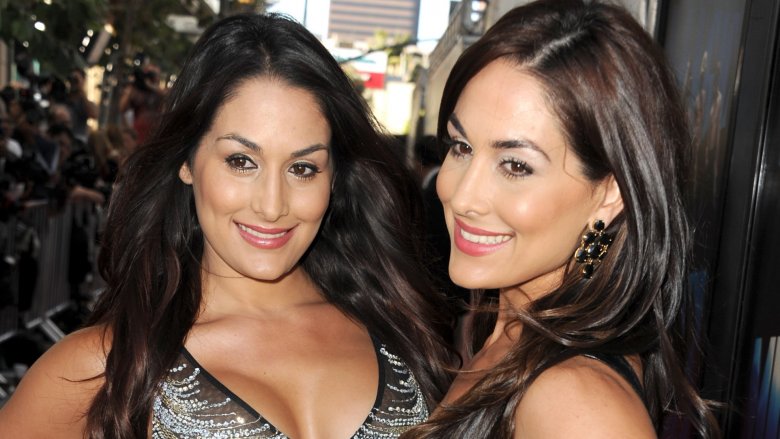 Nikki Bella and Brie Bella 