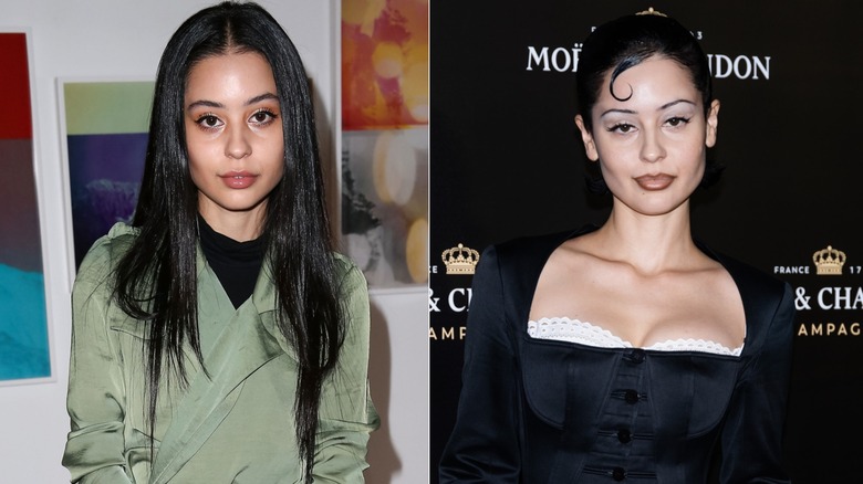 (L) Alexa Demie at the Birchbox + Dr.Jart Media Dinner in 2014; (R) Alexa Demie at the 2022 Moet & Chandon Holiday Season Celebration