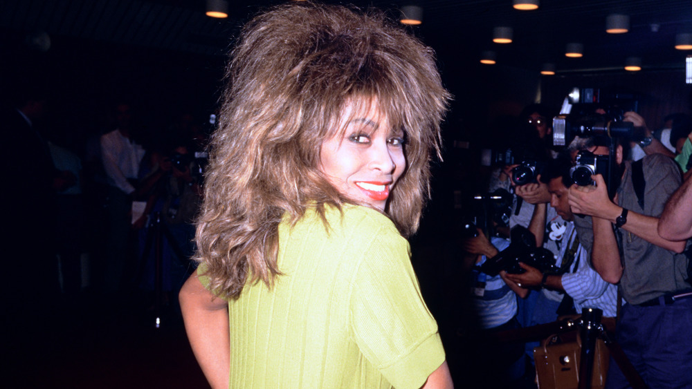 Tina Turner posing for cameras