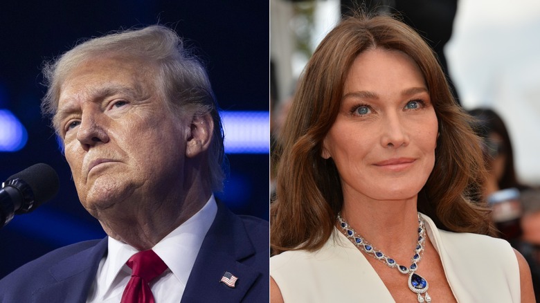 Donald Trump (L), Carla Bruni (R)