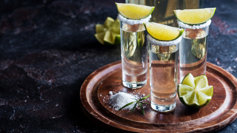 Shots of tequila lined up and ready to go