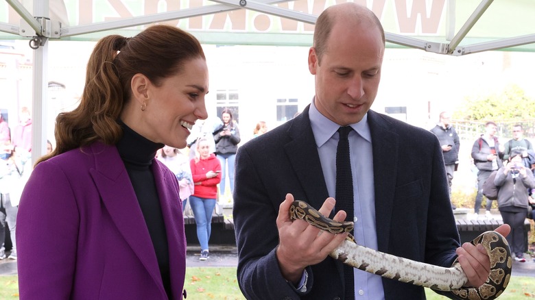 Prince William with snake