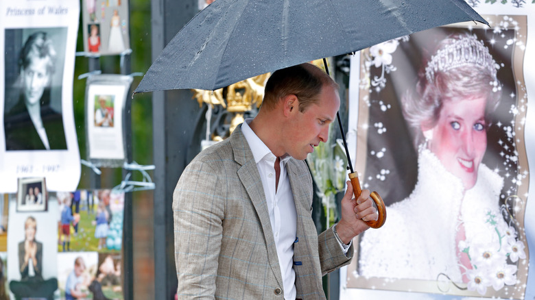 Prince William at Princess Diana memorial 