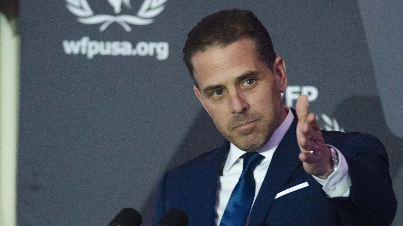 The Surprising Way Hunter Biden's Affair With His Deceased Brother's ...