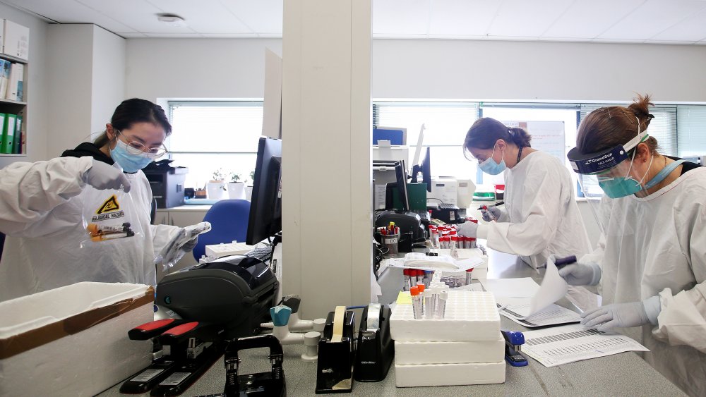 Scientists examining samples