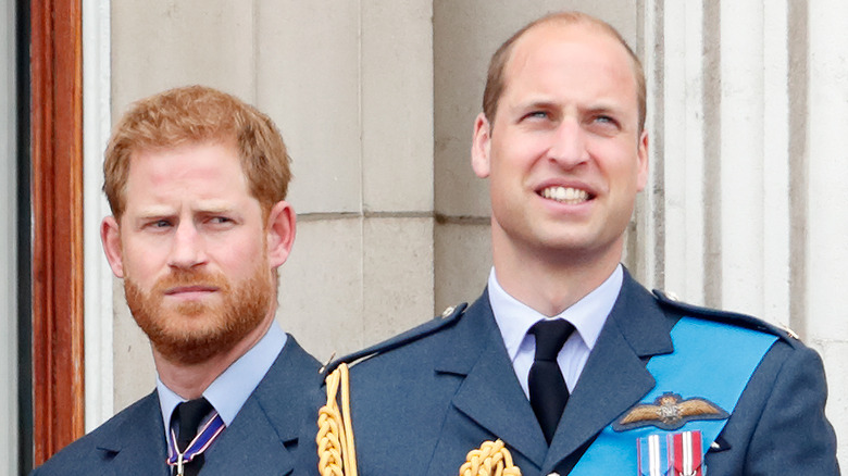 Prince Harry regards Prince William suspiciously