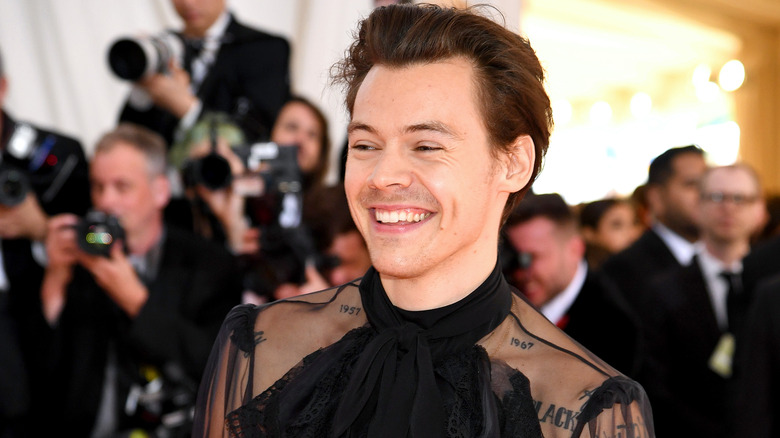 Harry Styles smiling side profile