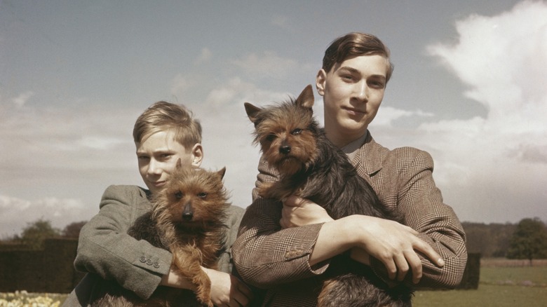 Prince Richard and Prince William holding dogs