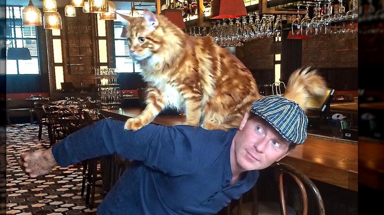 Bobby Flay with cat