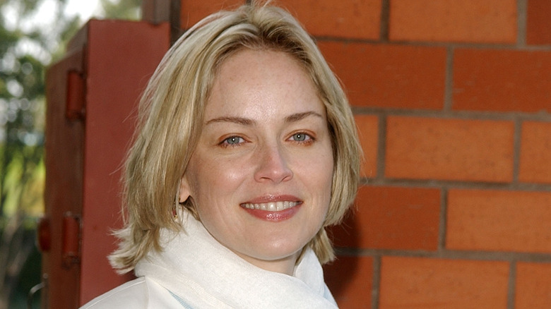 Young Sharon Stone smiling 