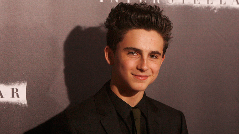 Timothee Chalamet at the 2014 "Interstellar" New York Premiere