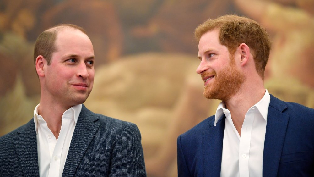 Prince William and Prince Harry