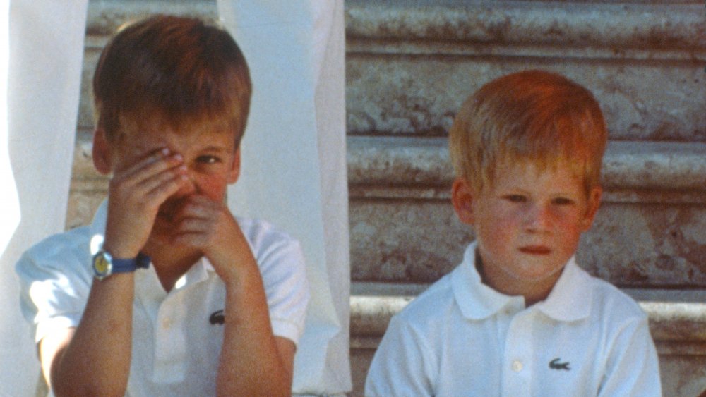 Prince Harry and Prince William as children looking morose