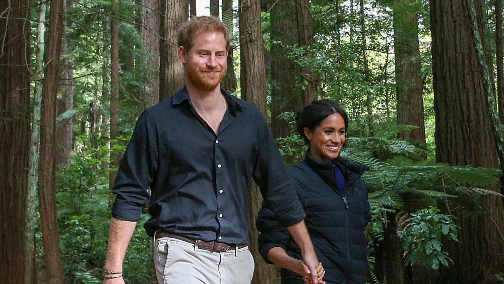 Prince Harry and Meghan Markle walking hand in hand in the woods