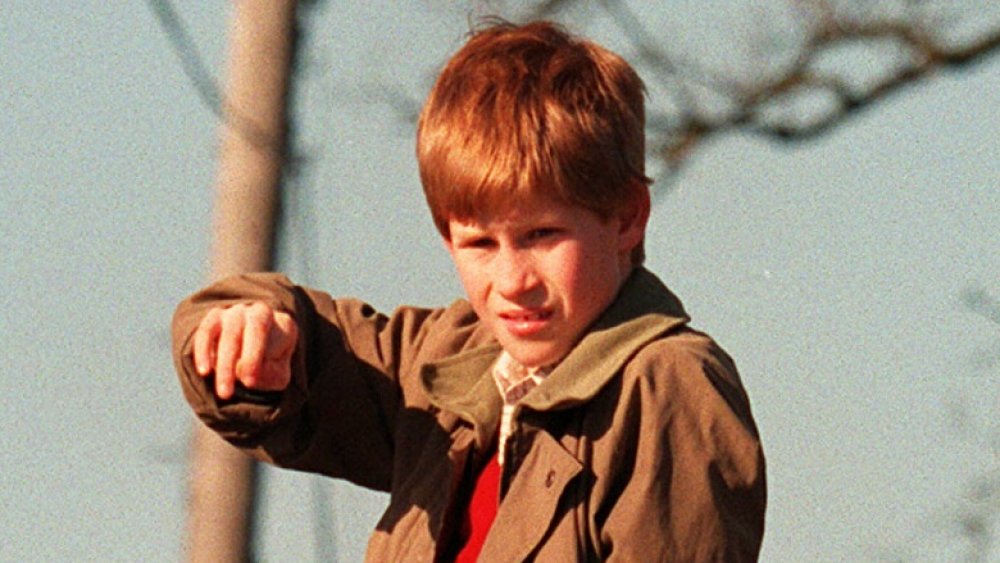 Prince Harry as a young boy looking fraught