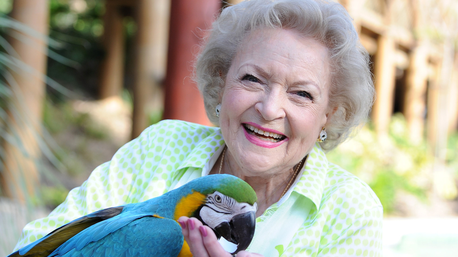 The Truth About Betty White's Animal Rescue Mission