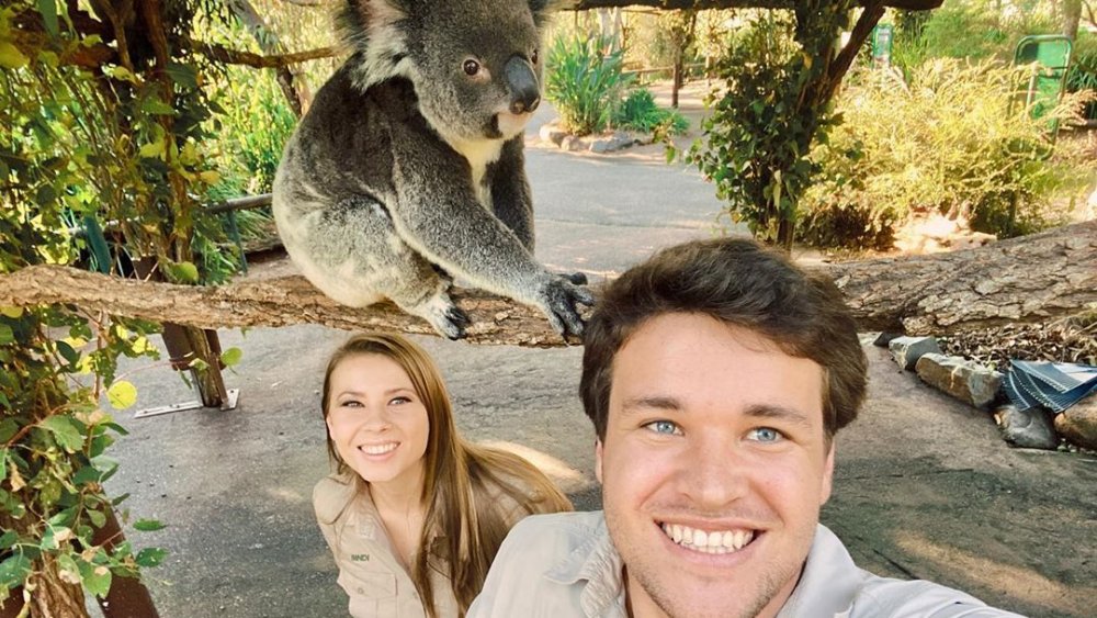 Bindi Irwin, Chandler Powell, and a koala