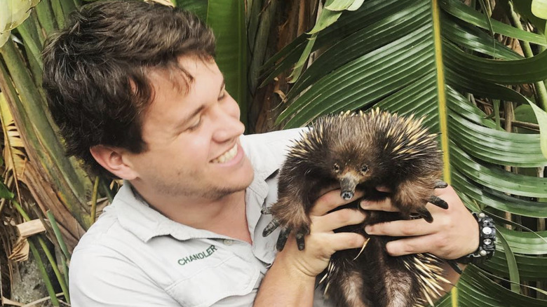 Bindi Irwin's husband Chandler Powell