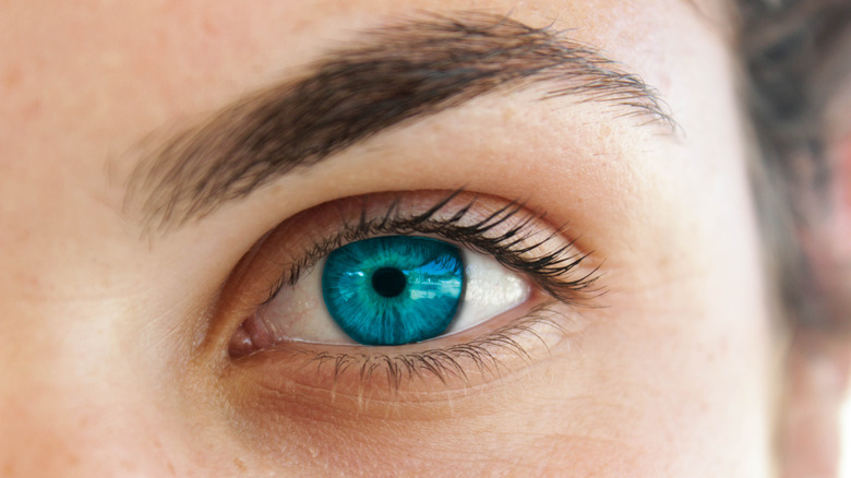 5 Facts You Might Not Know About Blue Eyes
