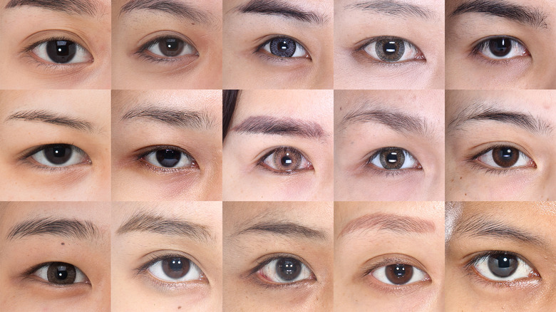 A collage of brown eyes