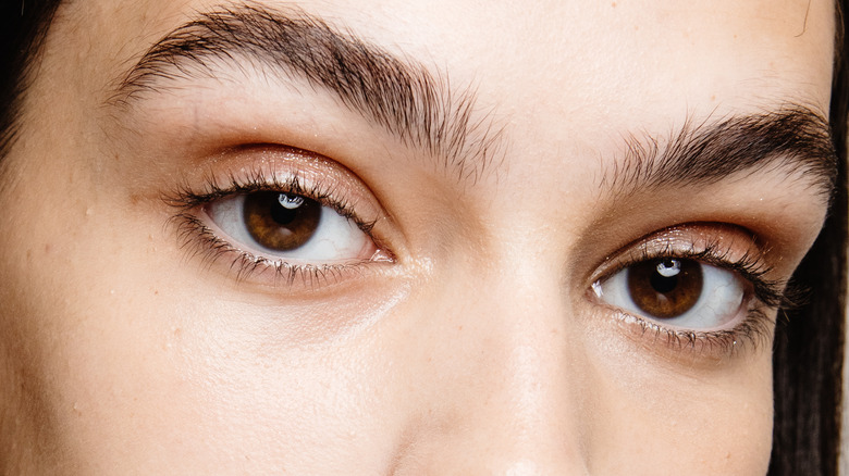 The Truth About Brown Eyes