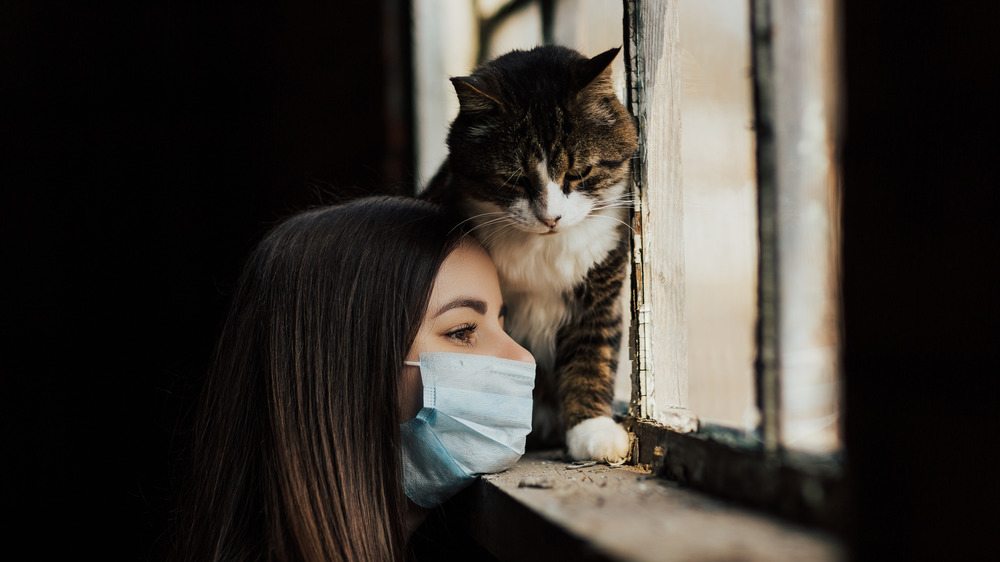 Cat cuddling owner