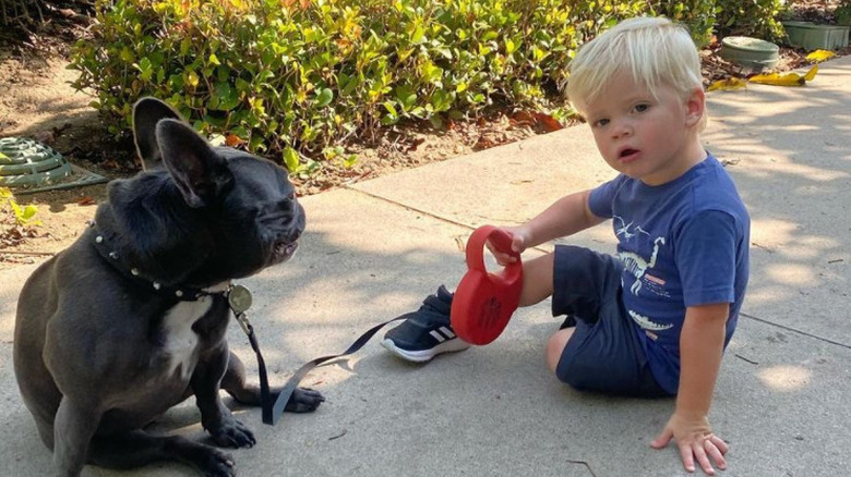 Christina Haack's dog Cash, son Hudson