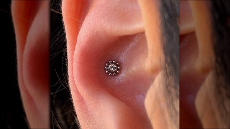 studded piercing