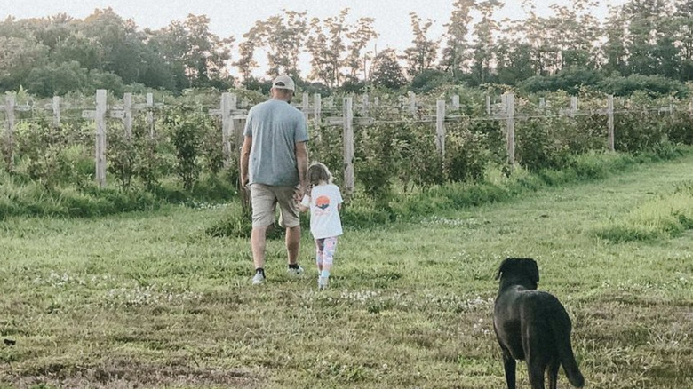 Dave Marrs, his daughter, & a dog walking through blueberry field 