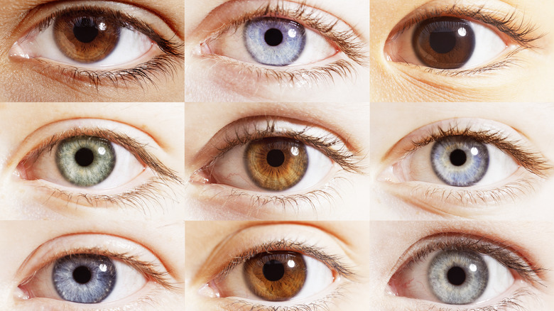 Eye color grid