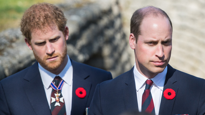 Prince Harry and brother William 