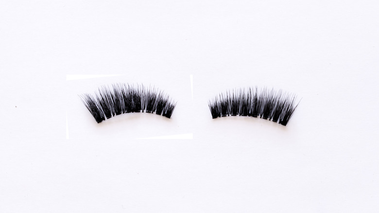 pair of magnetic lashes