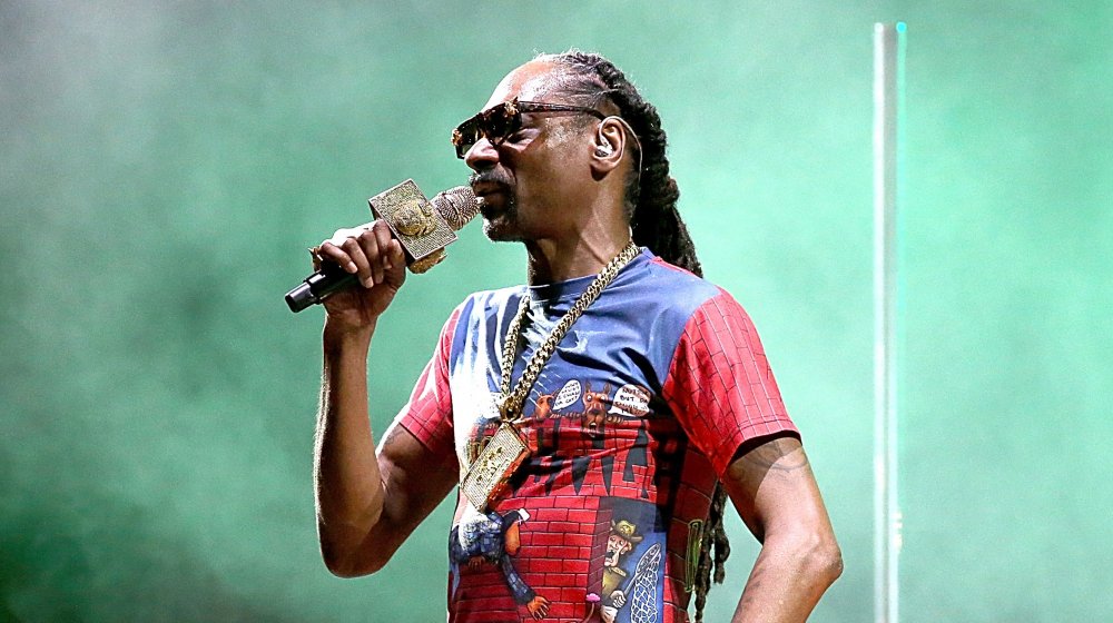 Snoop Dogg performing in 2020