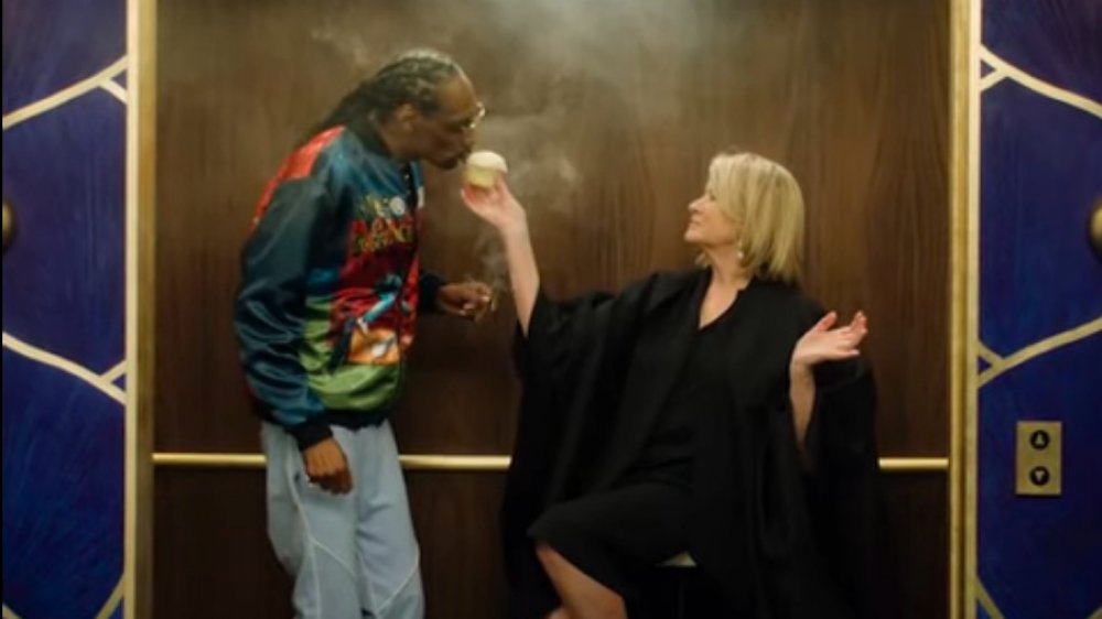 Snoop Dogg, Martha Stewart in an elevator