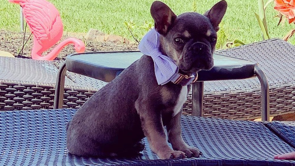 Beaux Busby sitting on a chair