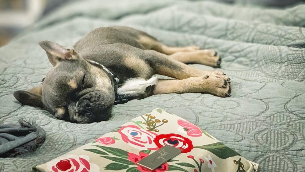 Beaux Busby laying on a bed