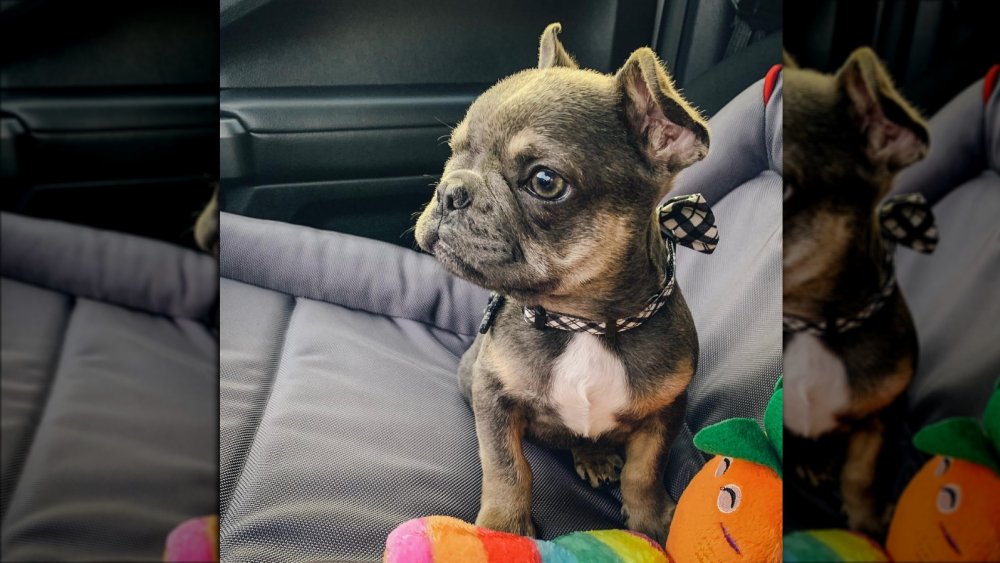 Beaux Busby sitting in a car