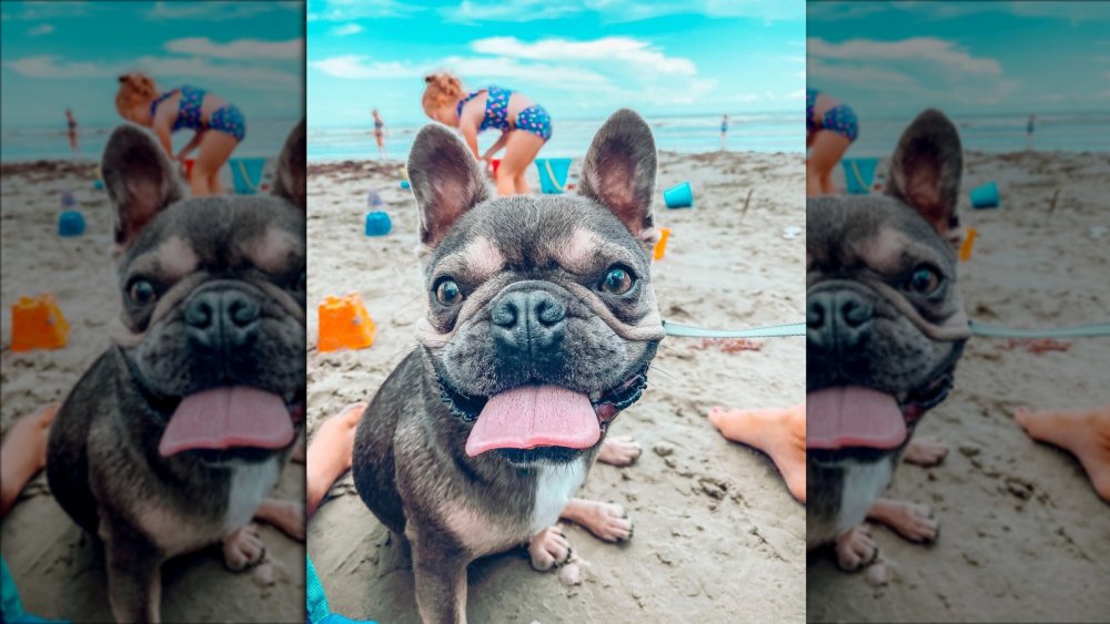 Beaux Busby at the beach