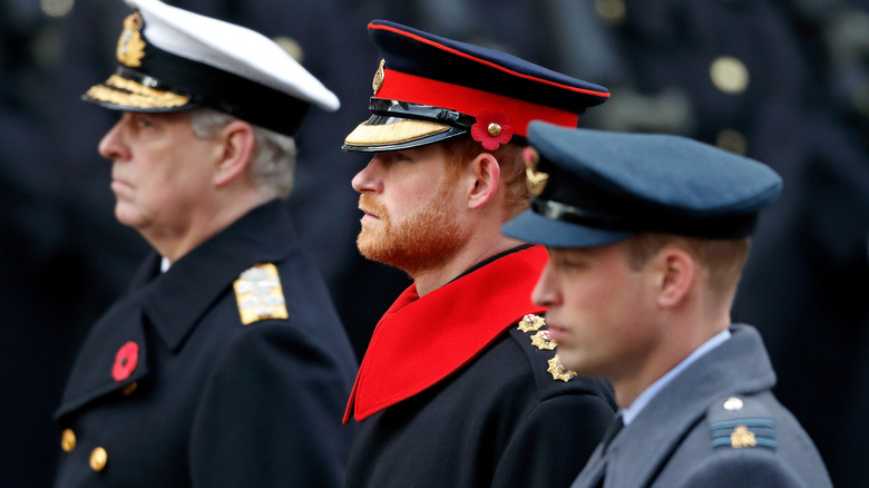 Prince Andrew and Prince Harry in uniform