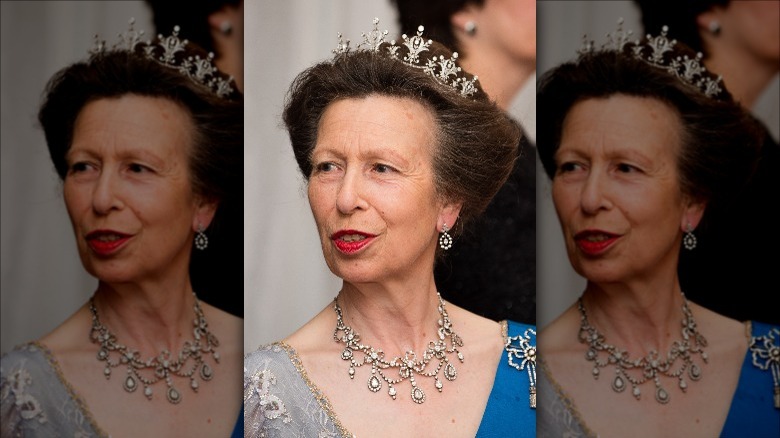 Princess Anne, 2017