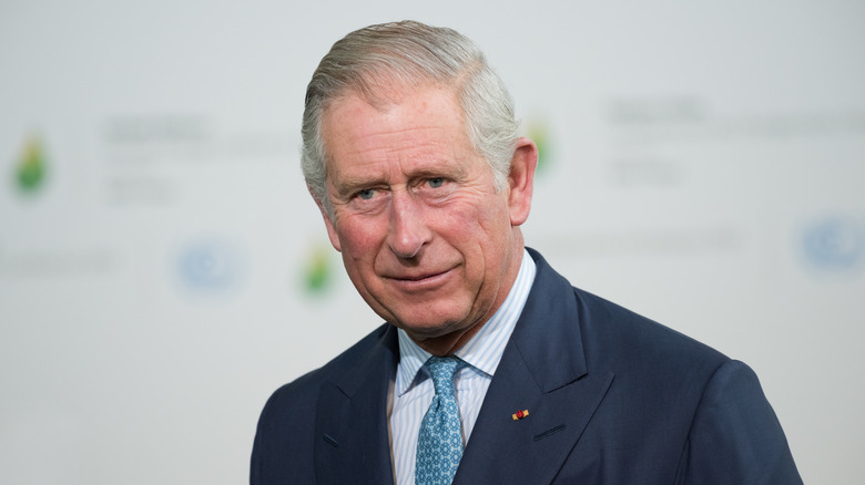 Prince Charles posing 2015 