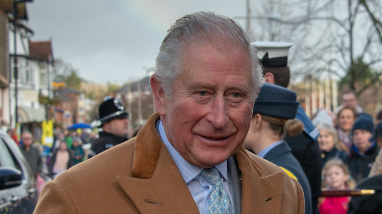 Prince Charles smiling 