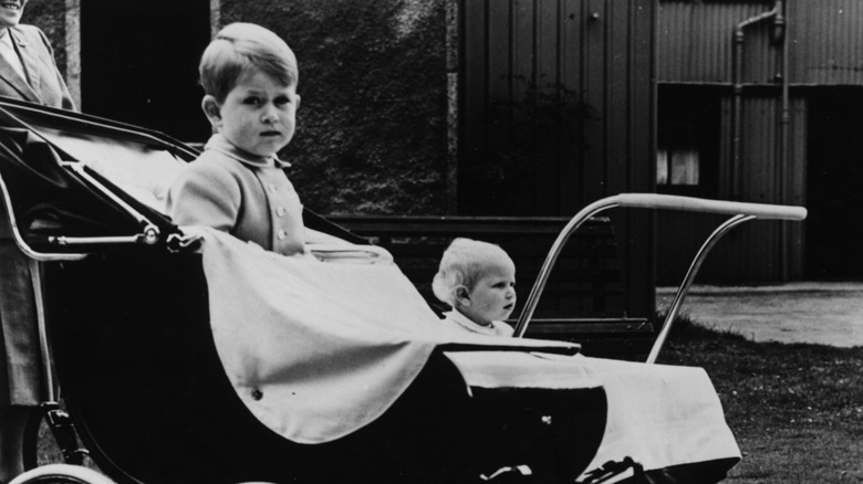 King Charles, Princess Anne as toddlers