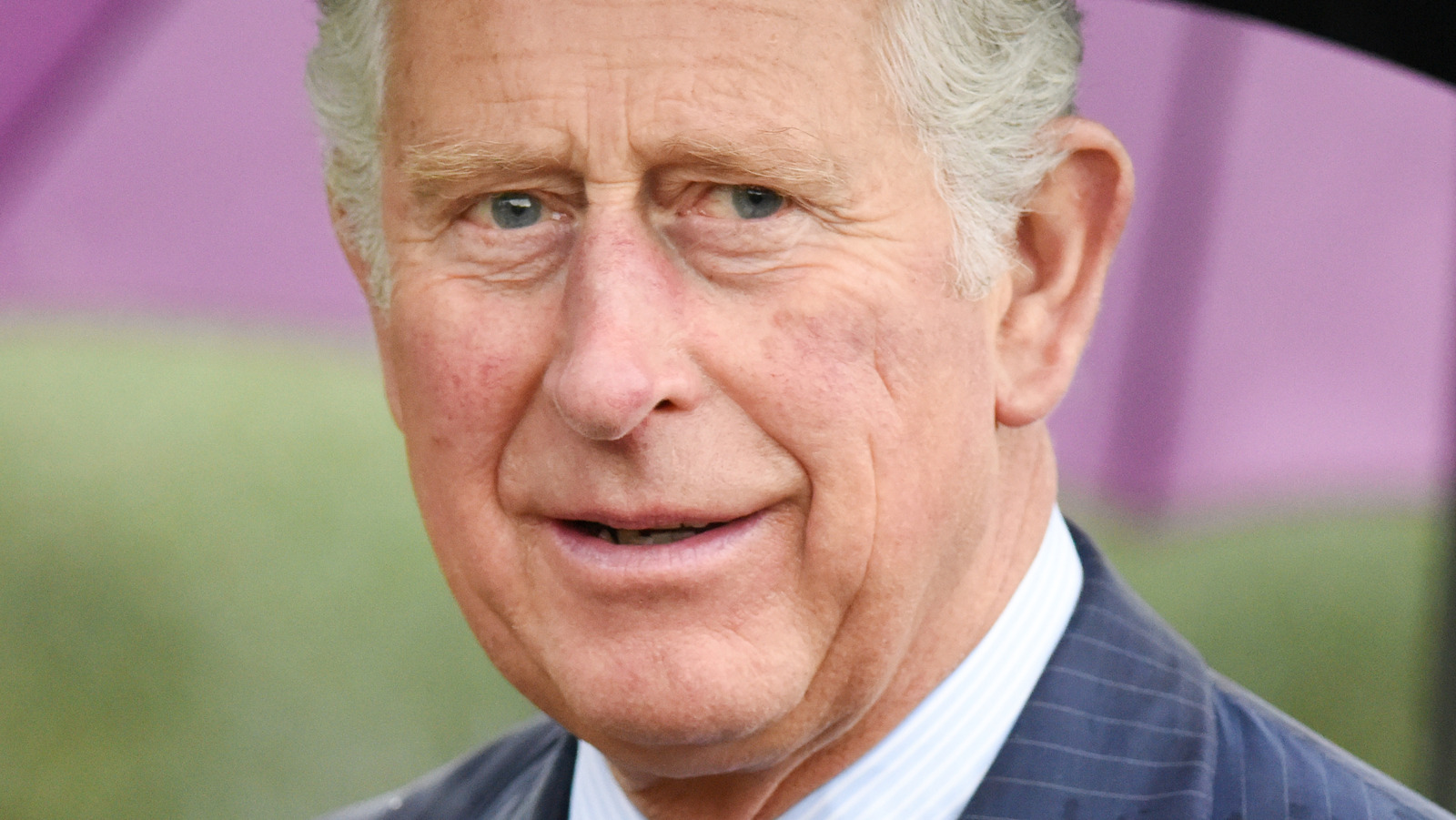 The Truth About Prince Charles & Princess Anne's Relationship