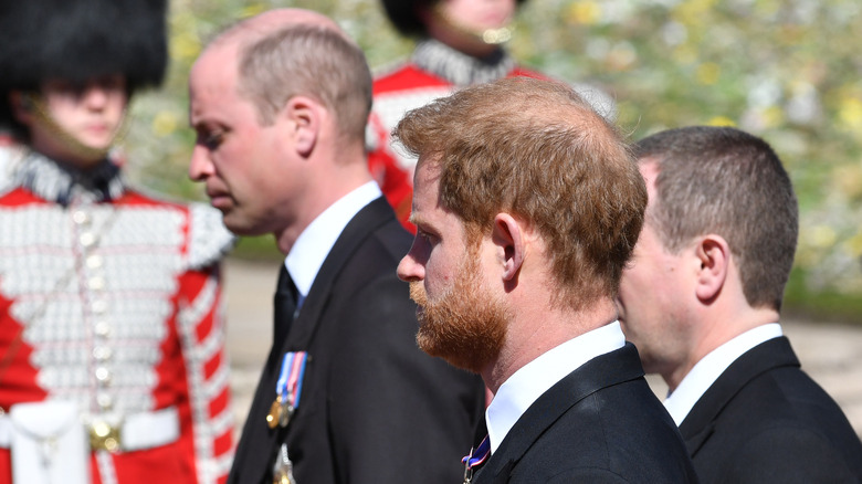 Prince Harry and Prince William with royal guards