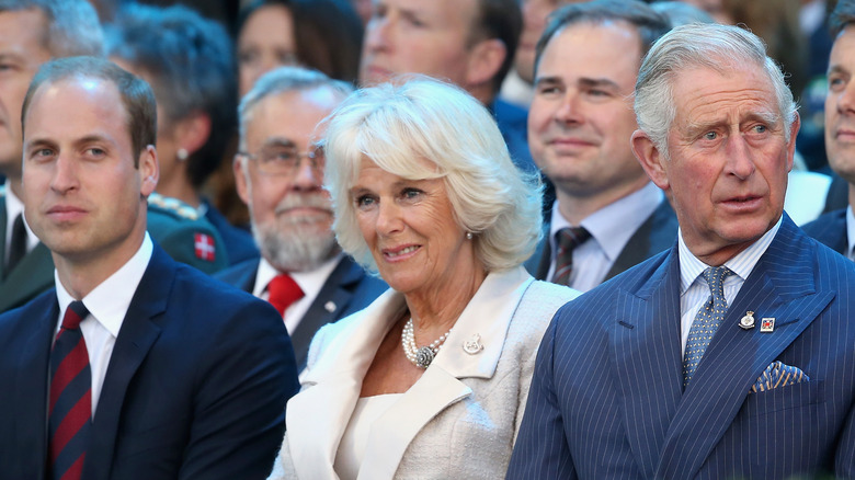 Prince William, Camilla, Prince Charles