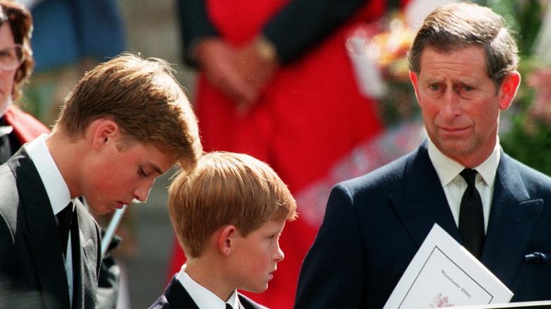 Princes William, Harry, and Charles at Princess Diana's funeral