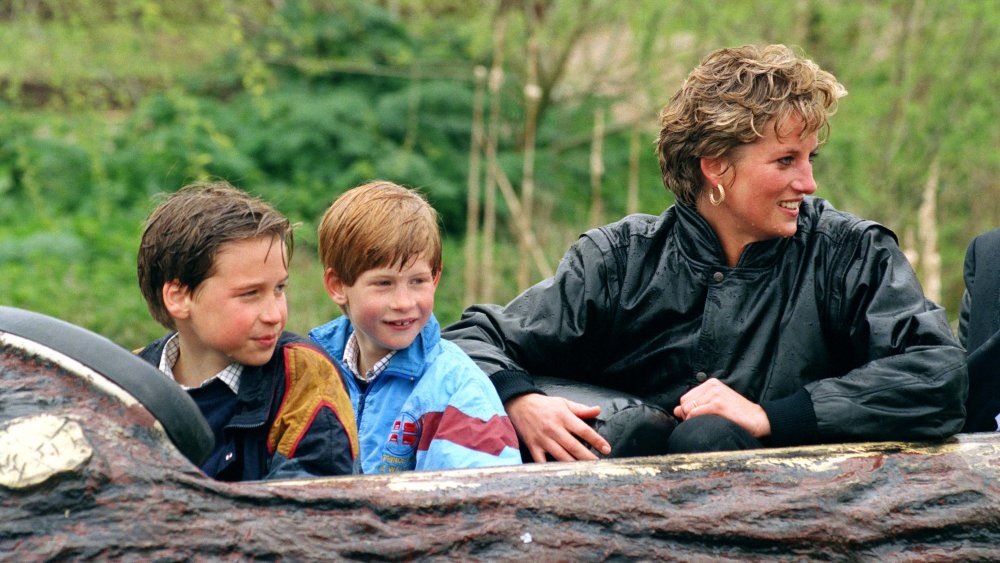 Prince William and Prince Harry as children with Princess Diana