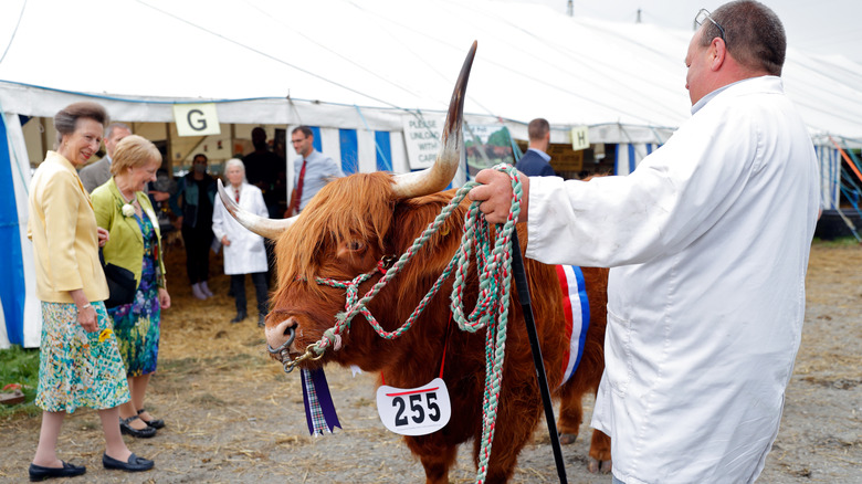 Princess Anne at livestock show