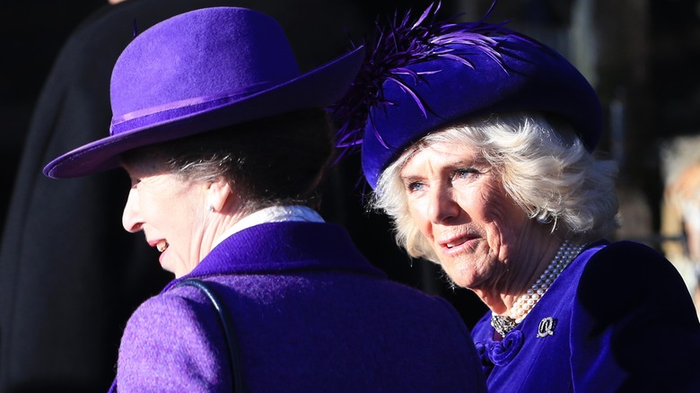 Princess Anne, Camilla in purple